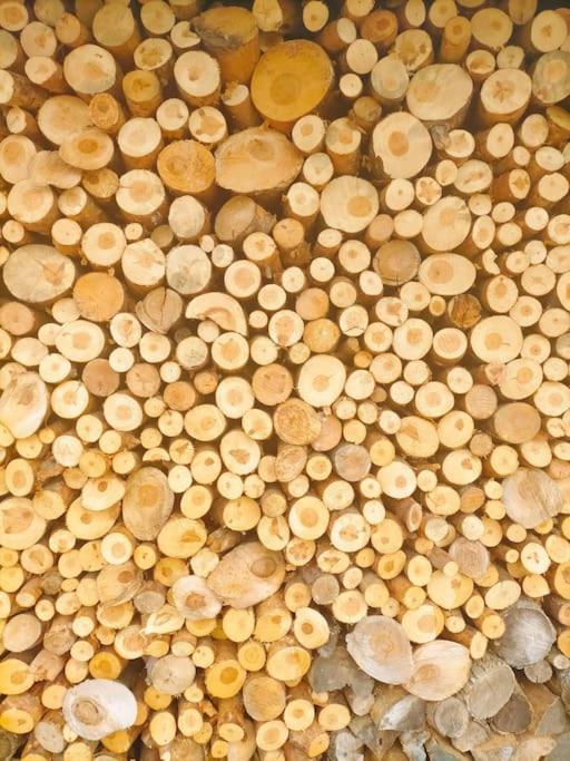 El Telar Arte Y Naturaleza Pradena Bagian luar foto