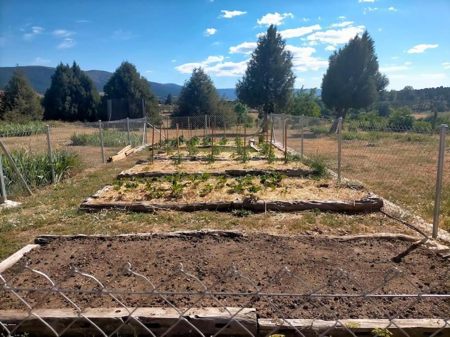 El Telar Arte Y Naturaleza Pradena Bagian luar foto